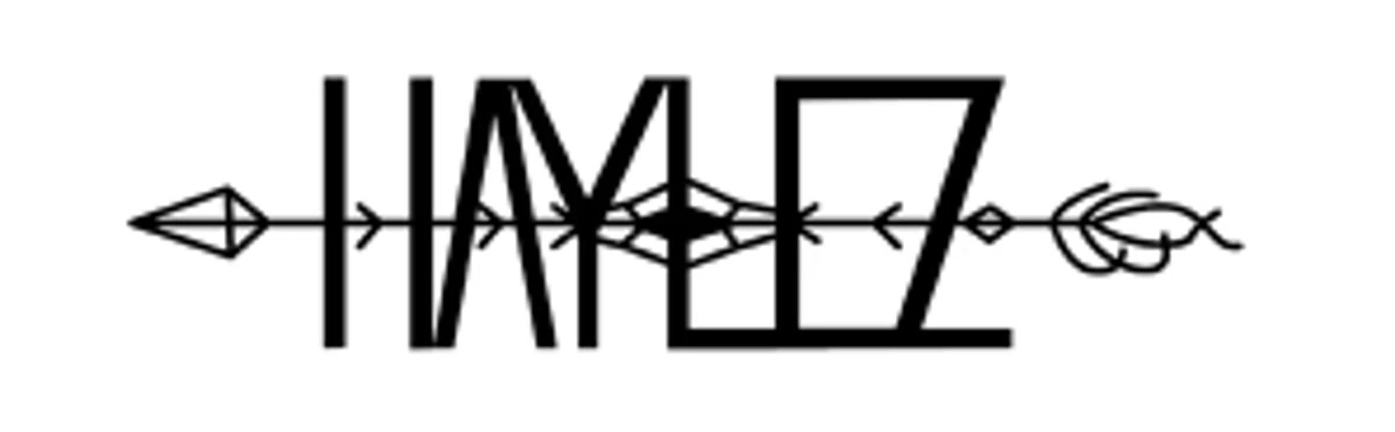Haylez Merchant Logo