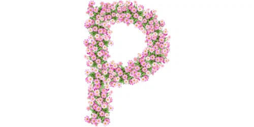 The Pink Reef Promo Code