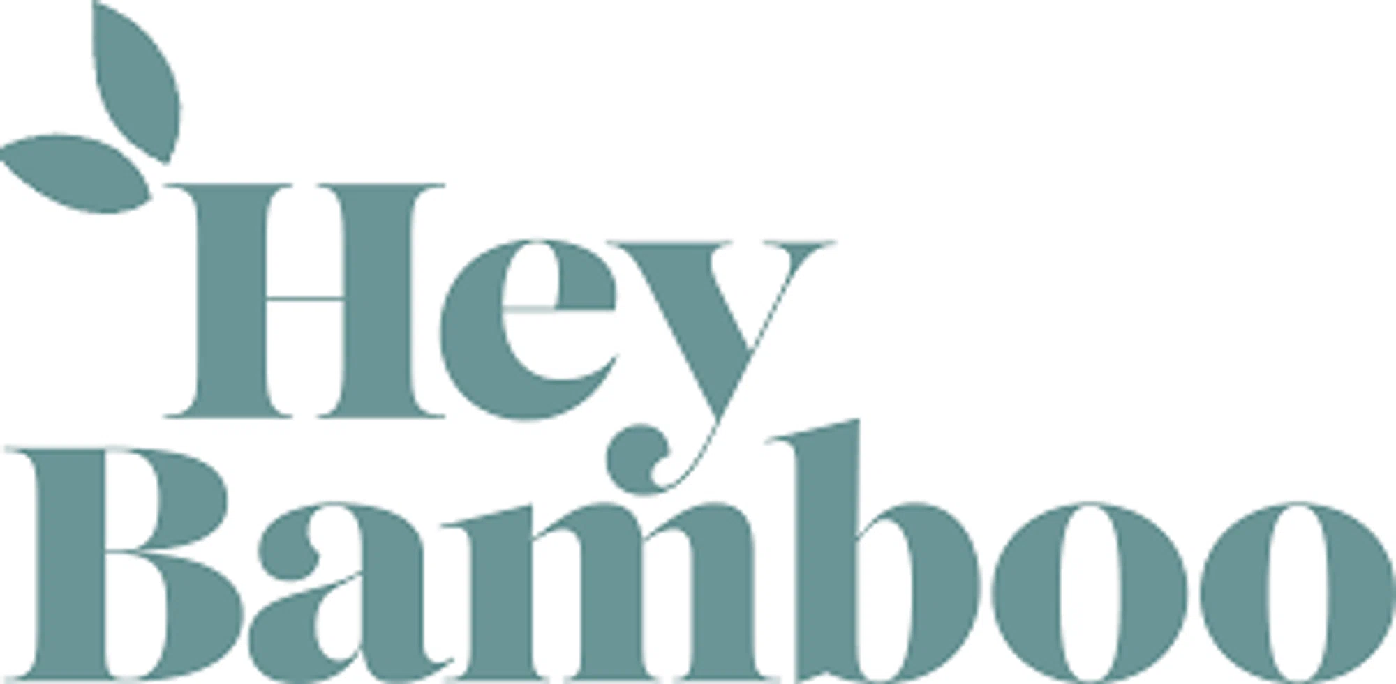 HeyBamboo Promo Code