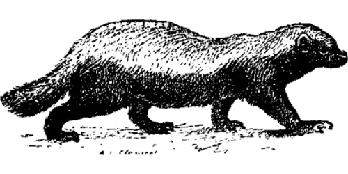 Honey Badger of Money Promo Code