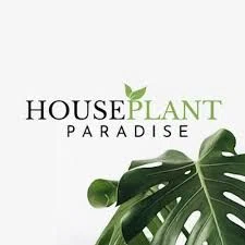 House Plant Paradise Promo Code