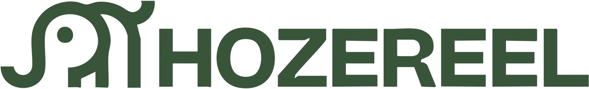 Hozereel coupons