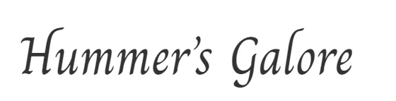 HUMMERS GALORE Promo Code — 20 Off in August 2024