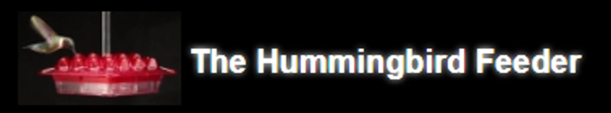 THE HUMMINGBIRD FEEDER Promo Code — 110 Off 2024