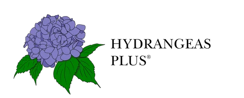 Hydrangeas Plus Promo Code
