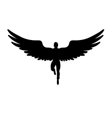 ICARUS Footwear Promo Code