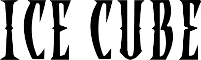 Ice Cube Promo Code