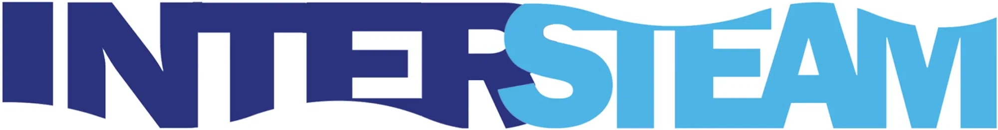 Intersteam Merchant Logo
