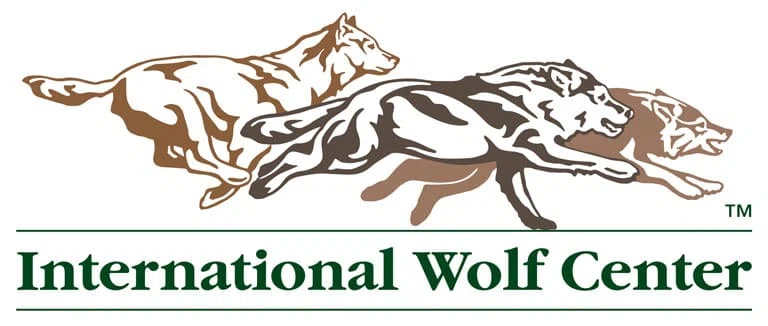 International Wolf Center Merchant Logo