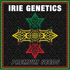 Irie Direct Promo Code