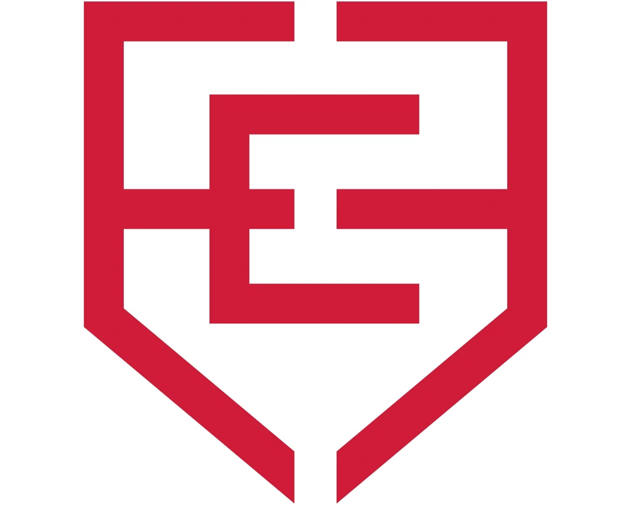 Iron Evolution Merchant Logo