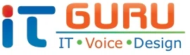 IT GURU Promo Code — Get 30 Off in August 2024