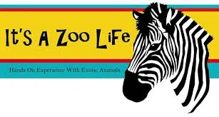 It's A Zoo Life Merchant Logo