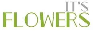 ItsFlowers.com Merchant Logo