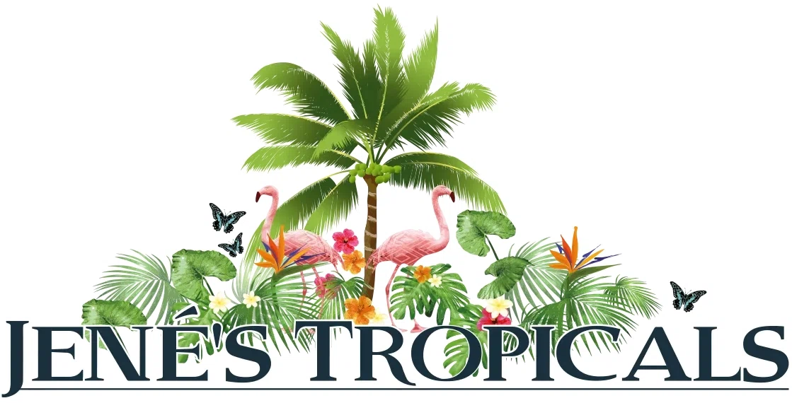 JENE'S TROPICAL Promo Code — 150 Off in August 2024