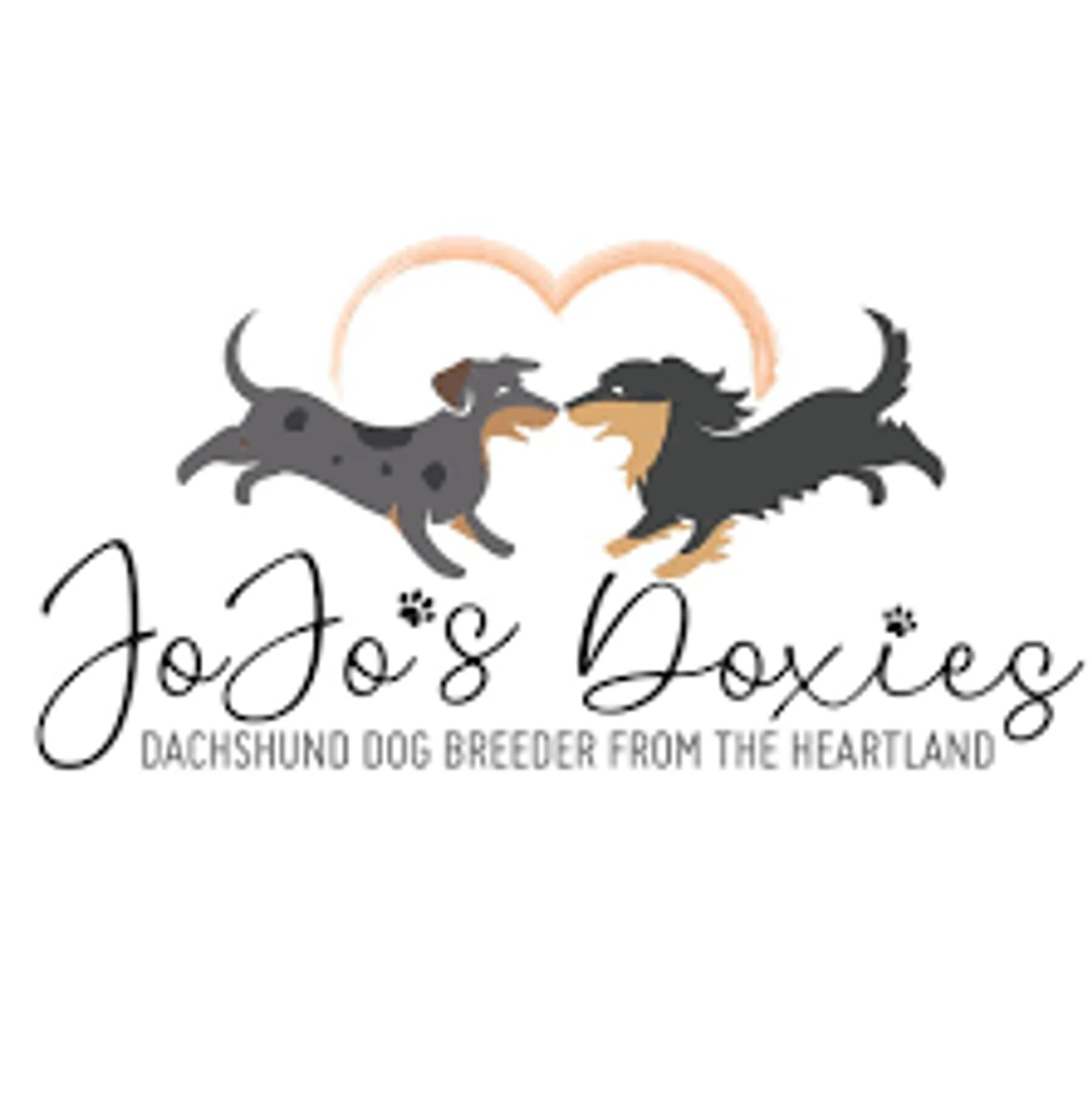 20 Off Jojo’s Doxies Promo Code, Coupons August 2024
