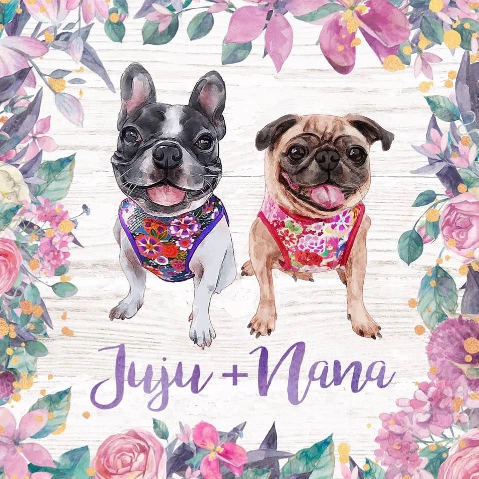 Juju + Nana Promo Code