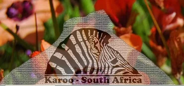 Karoo Desert Merchant Logo