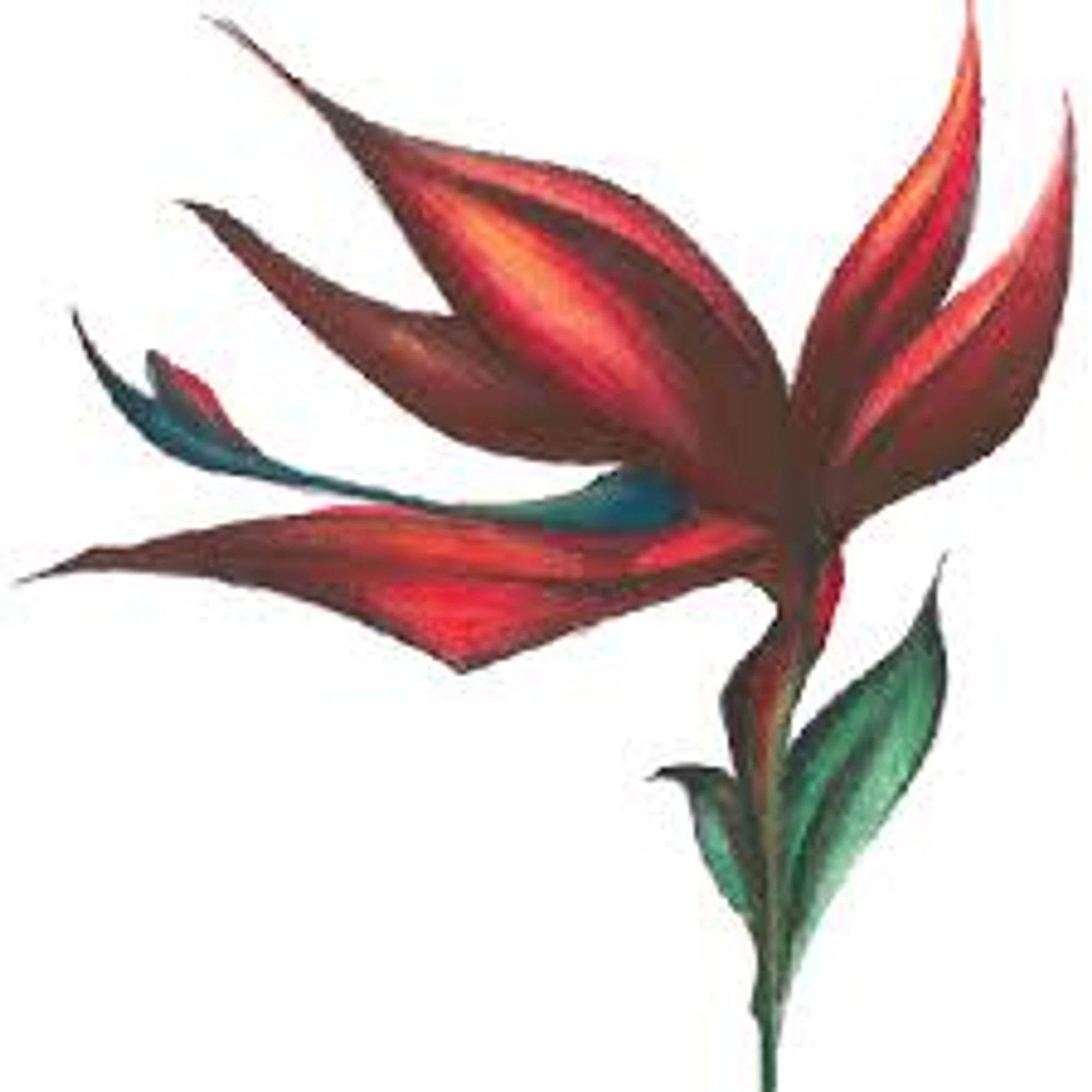 Kauai Juice Co. Merchant Logo