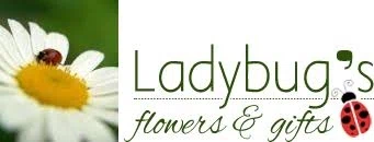 LADYBUG'S FLOWERS & GIFTS Promo Code — 30 Off 2024