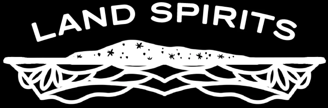 LAND SPIRITS Promo Code — Get 60 Off in August 2024