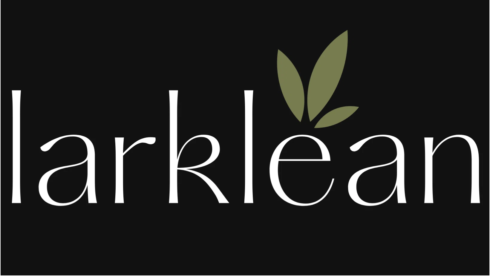 Larklean Promo Code