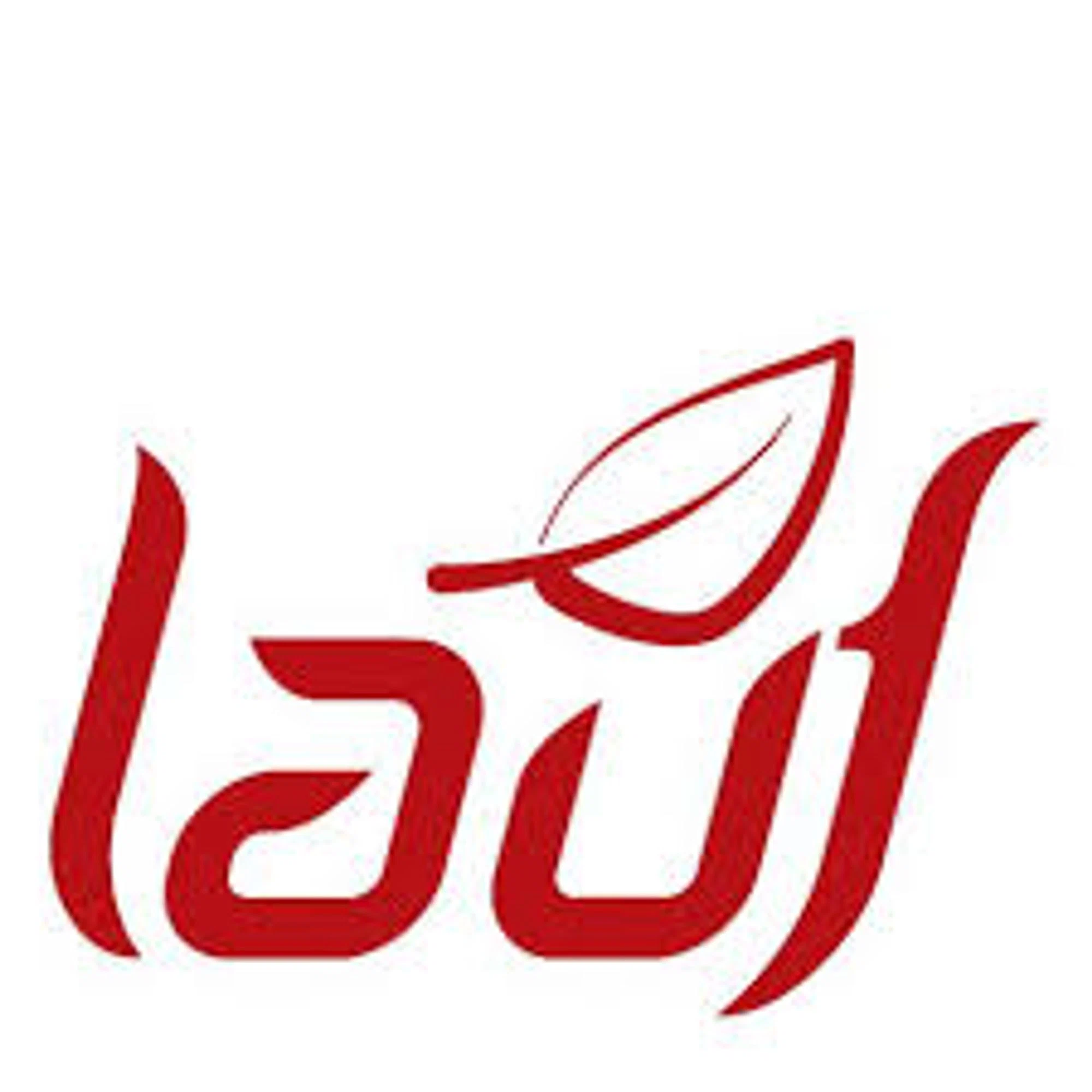 Lauf Cycles coupons