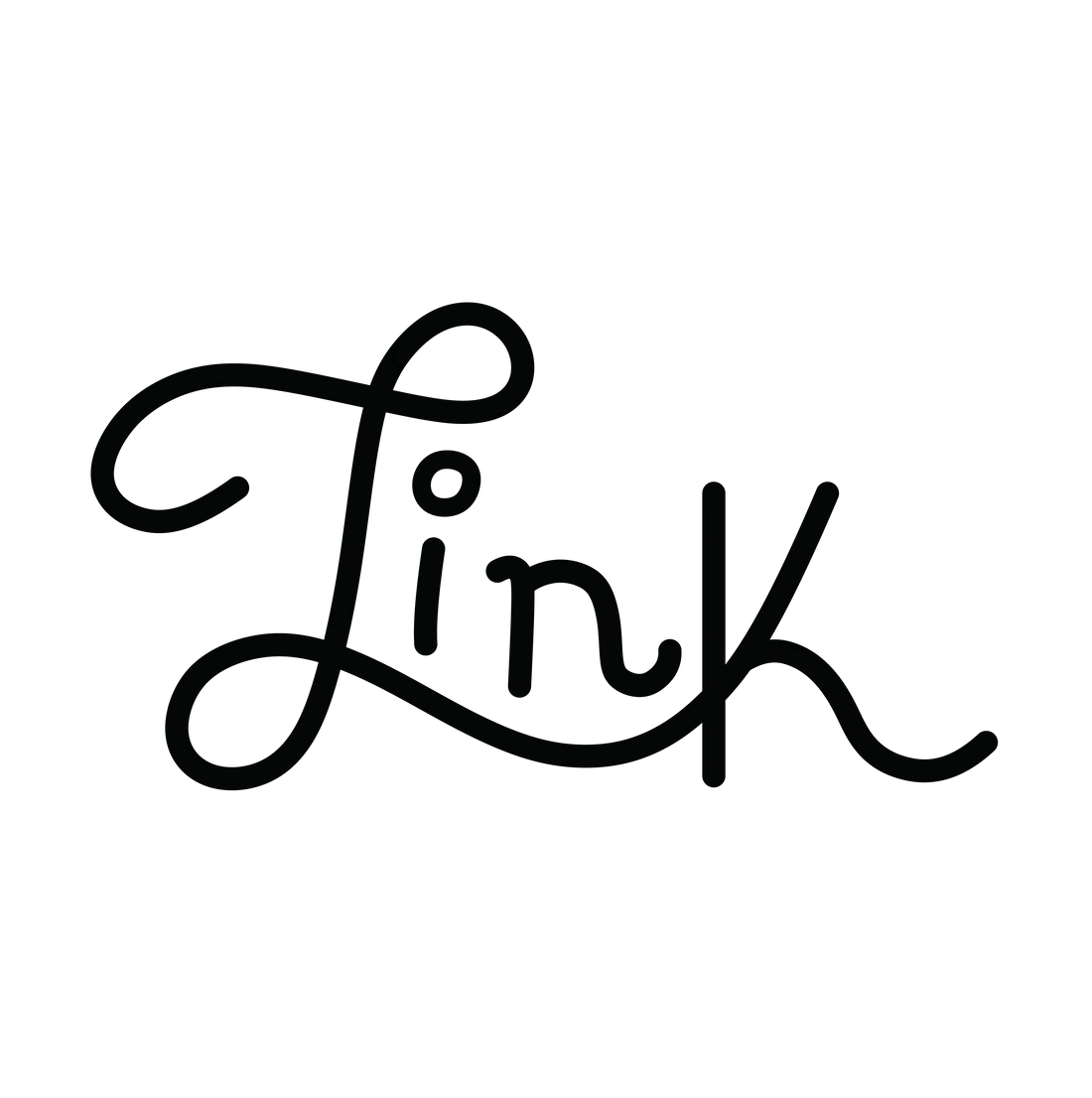 Link Pickleball Promo Code
