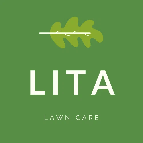 LITA discount code