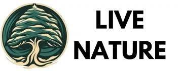 Live Nature Clothing Merchant Logo