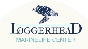 Loggerhead Marinelife Center Merchant Logo