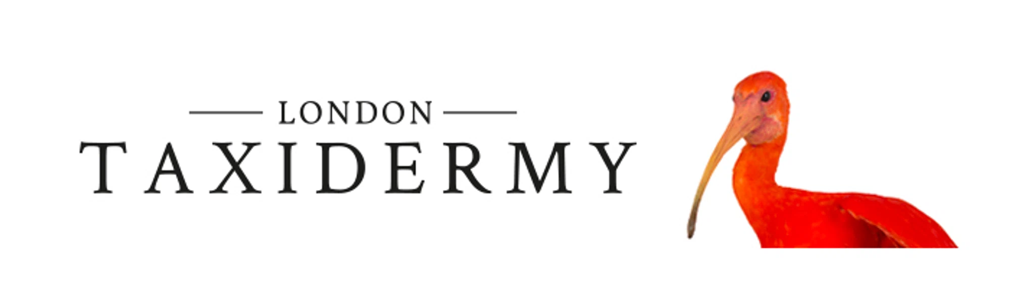 London Taxidermy Merchant Logo