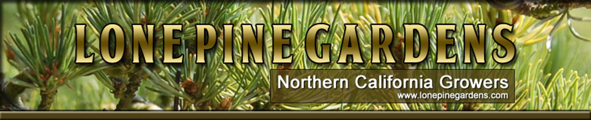 LONE PINE GARDENS Promo Code — 170 Off in Sep 2024