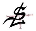 LoopHole Systems Merchant Logo