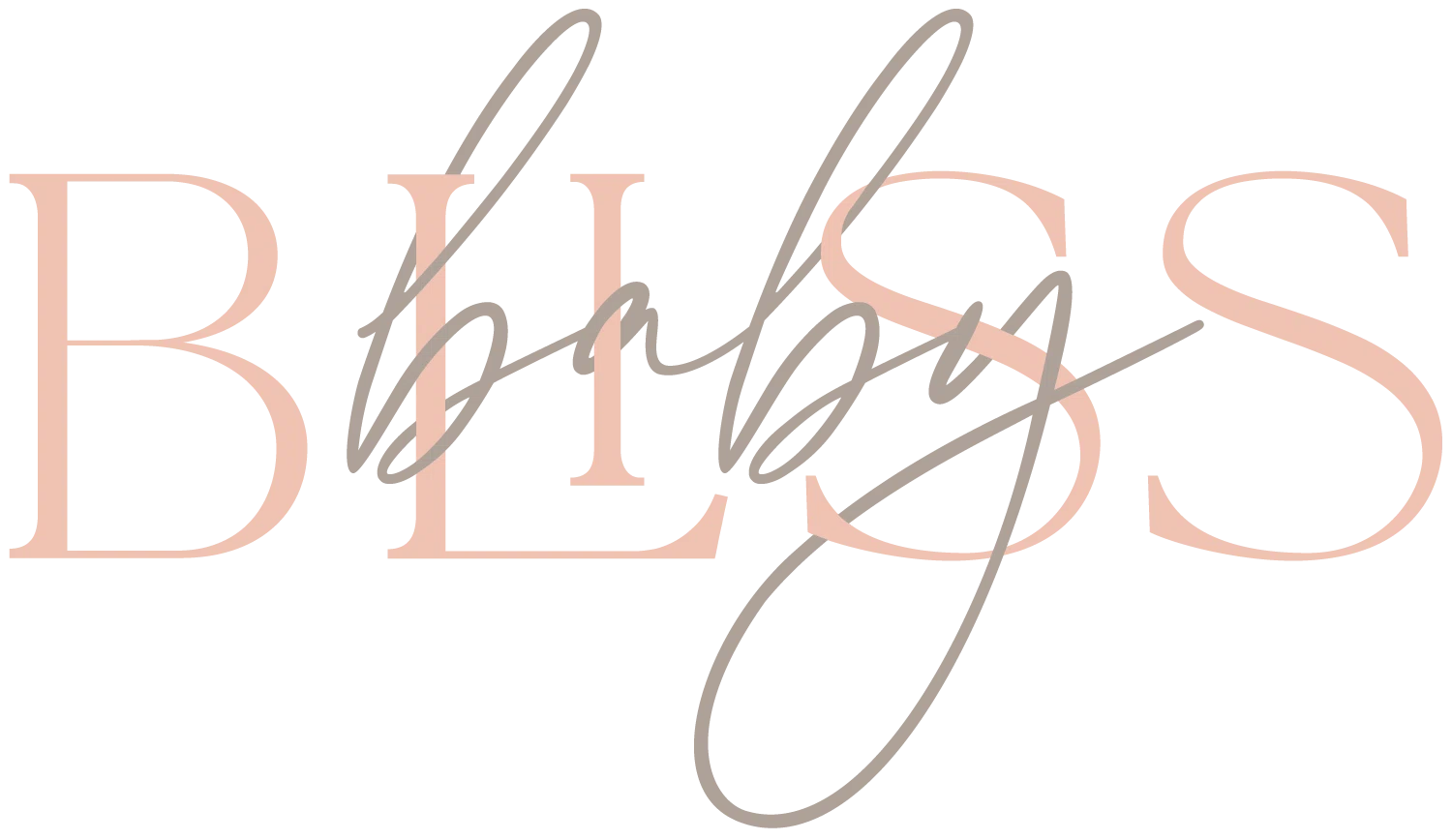 Love Bliss Baby Merchant Logo
