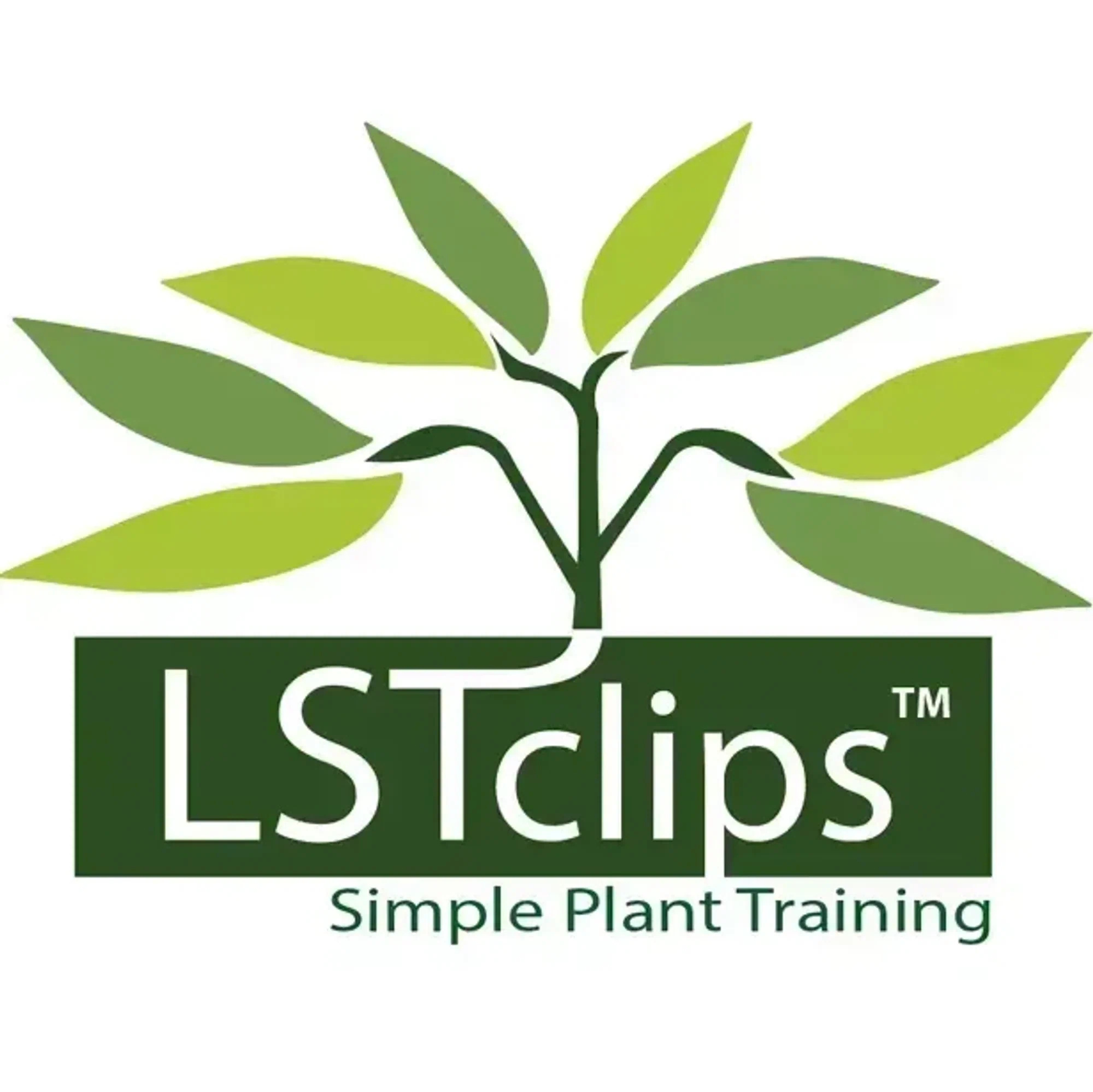 LSTclips Promo Code