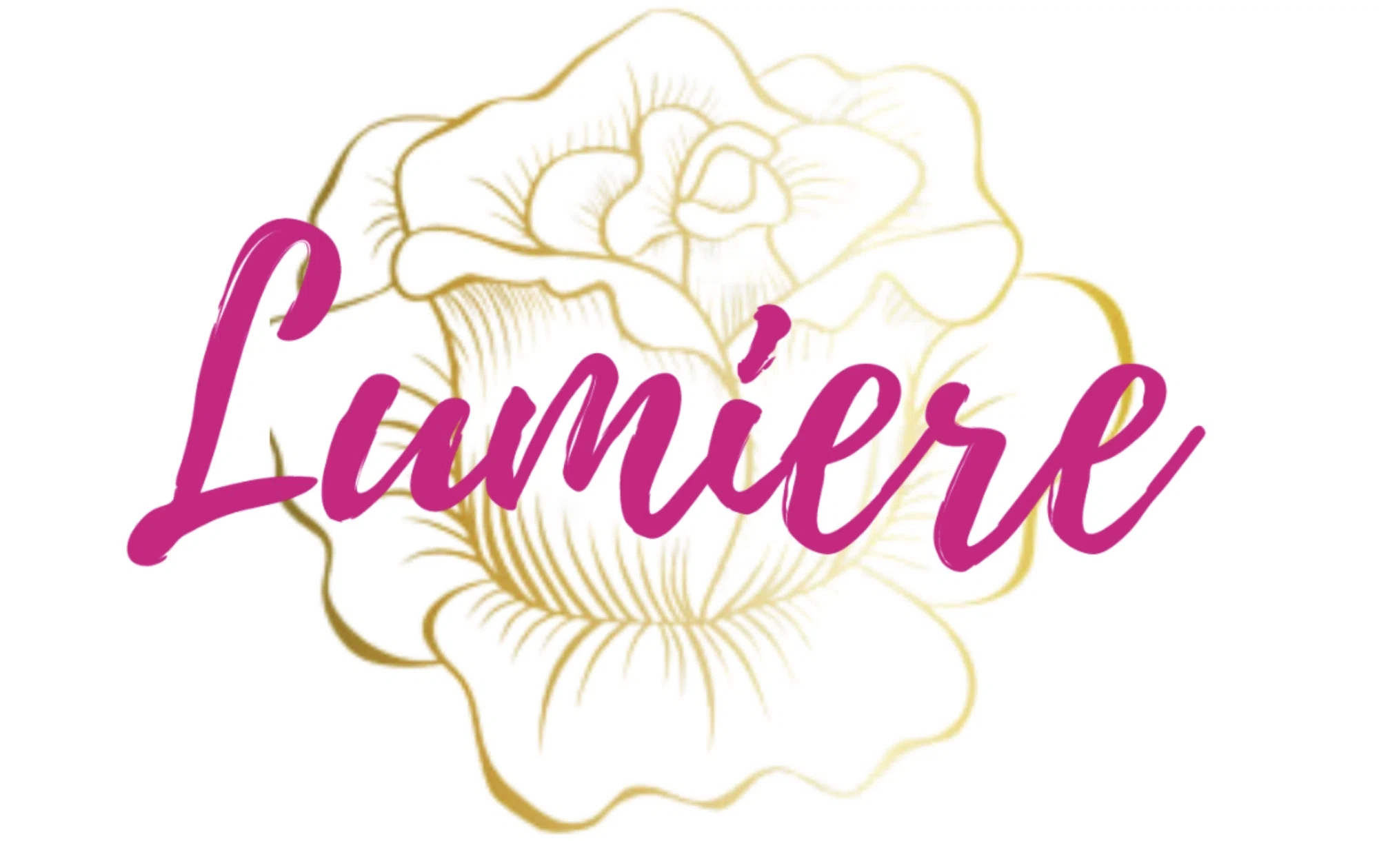 Lumiere Accessories Merchant Logo
