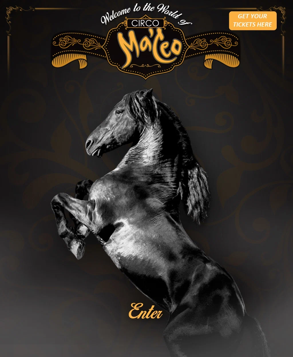 Ma'ceo Circo Promo Code