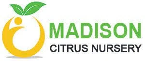 Madison Citrus Nursery Merchant Logo