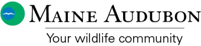Maine Audubon Merchant Logo