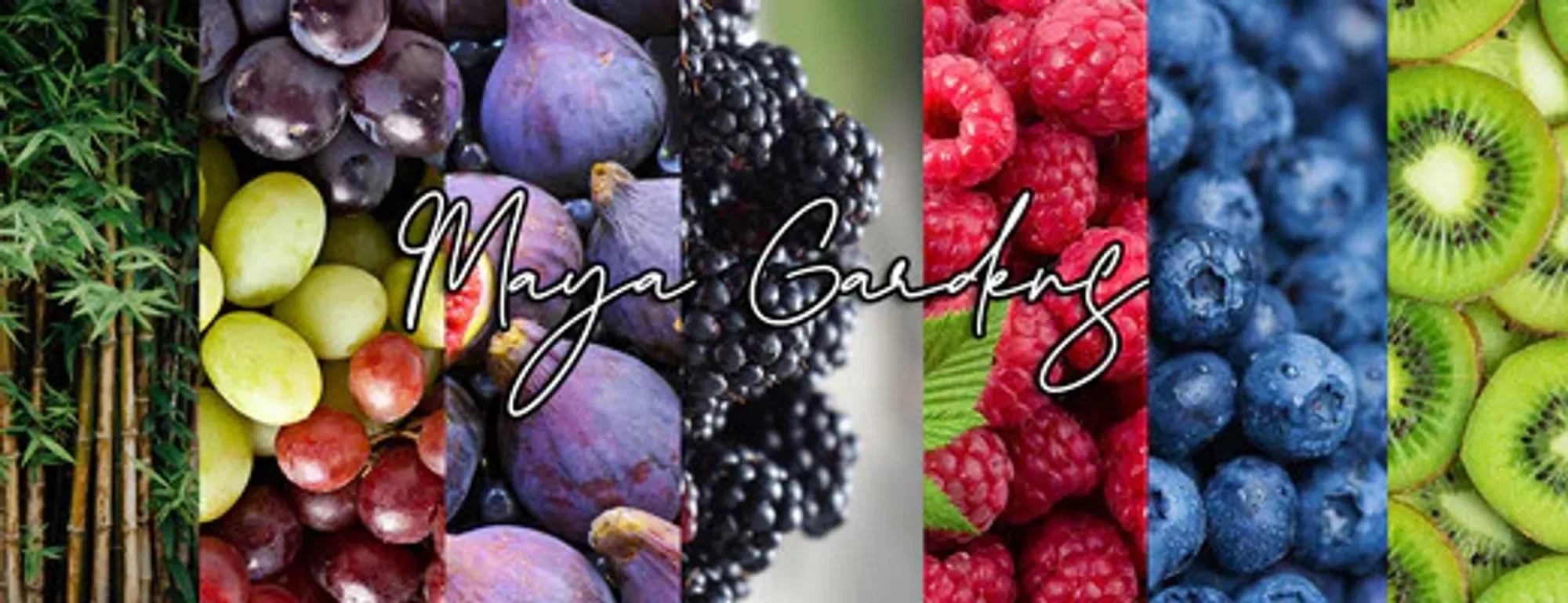 Maya Gardens coupons