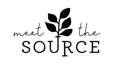 Meet The Source Promo Code