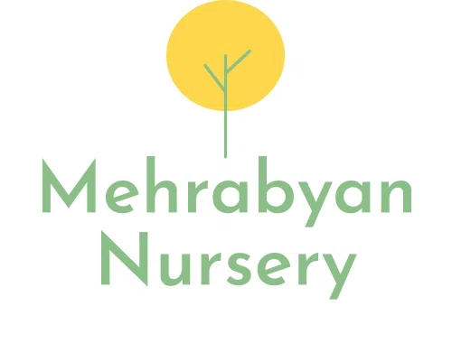 Mehrabyan Nursery Merchant Logo