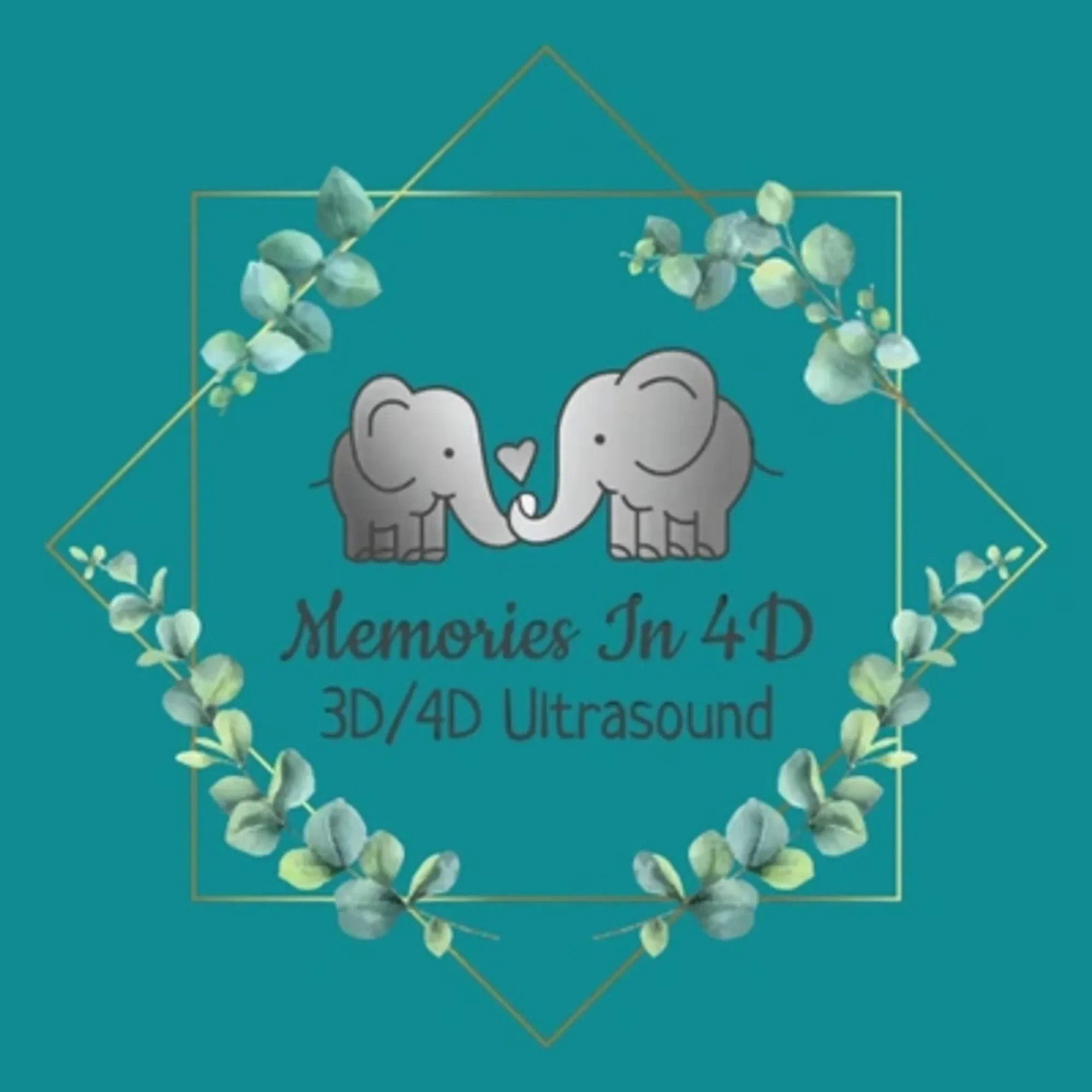 Memories in 4D Merchant Logo