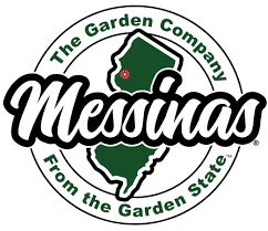Messinas Promo Code