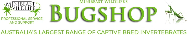 Minibeast Wildlife Bug Shop Merchant Logo