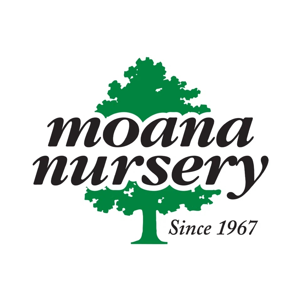 MOANA NURSERY Promo Code — 150 Off in Sep 2024