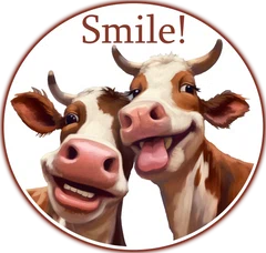 Moo Moos Smiling Cows Merchant Logo