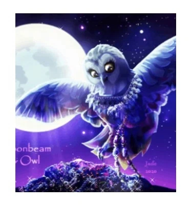 MOONBEAM & OWL Promo Code — 200 Off in Aug 2024