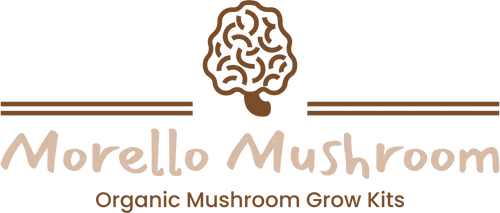 Morello Mushroom Merchant Logo